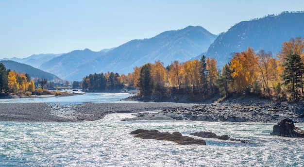 Vue d'une rivière de montagne en automne