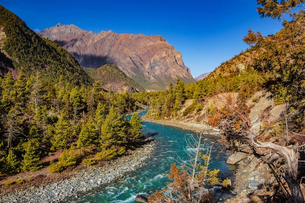 Vue sur la rivière de montagne bleue Népal se jetant dans la gorge