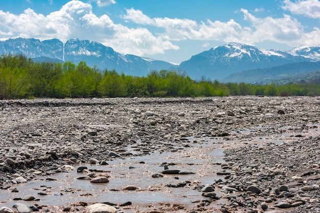 Vue sur une rivière de montagne, une forêt et des montagnes enneigées