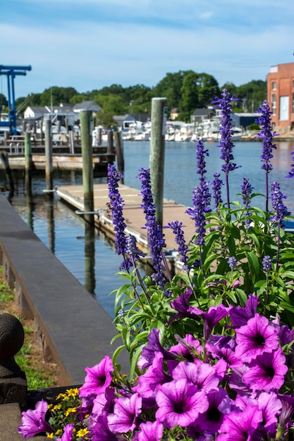 Vue sur la rivière Mystic avec des fleurs devant le Connecticut été 2021