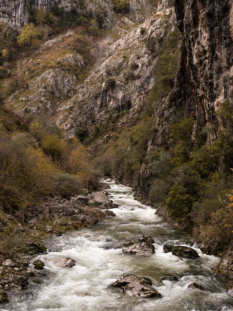 Vue sur la rivière Urdon