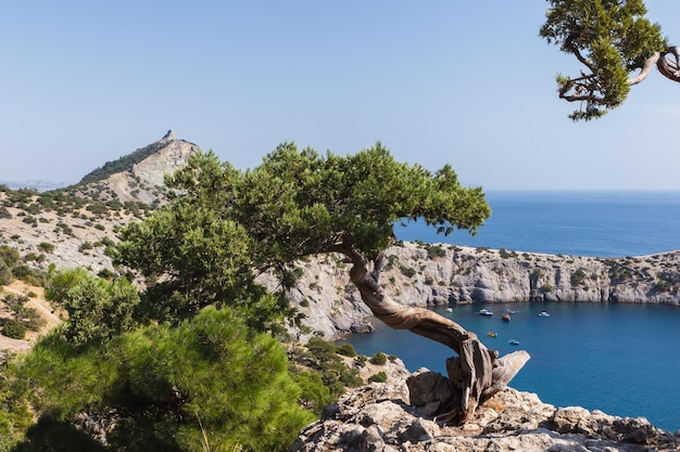 Vue sur les rochers de la mer Noire depuis le sentier Golitsyn