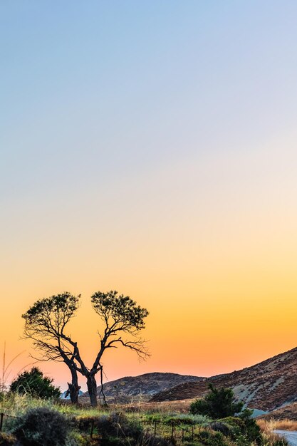 Vue romantique du coucher de soleil sur la mer Égée Lemnos ou l'île de Limnos Grèce conception de papier peint de destination de voyage d'été