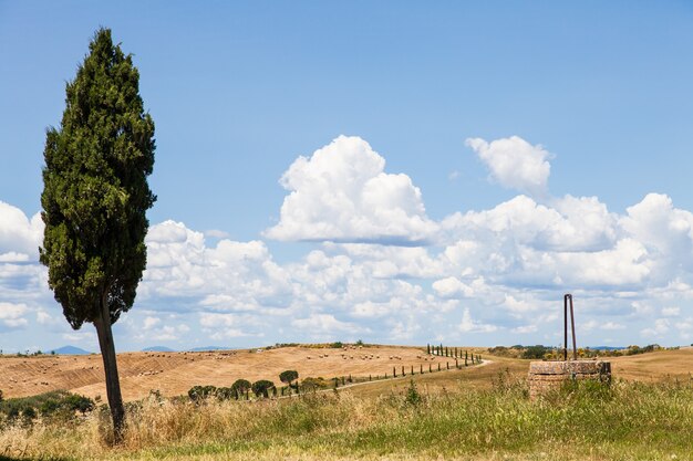 Une vue romantique sur la Toscane en été, près de San Quirico