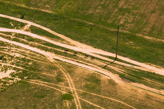 Photo vue d'une route de campagne dans un champ d'en haut. tir d'une hauteur, d'un trône, d'une vue plongeante. nature, paysage, route, chemin.