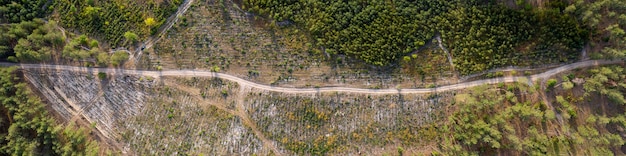 vue sur la route de campagne d'en haut prise de vue par drone