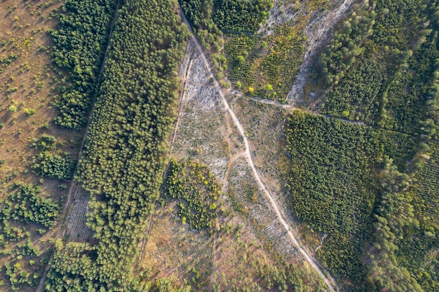 vue sur la route de campagne d'en haut prise de vue par drone