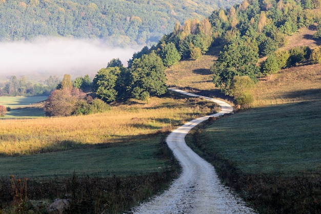 Vue de la route de campagne, à travers champs en direction de la forêt. Route de campagne.