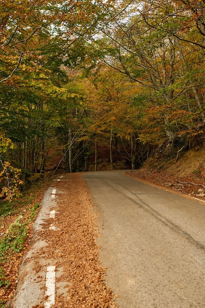 Vue sur route de montagne. Routes asphaltées, pendant la saison d'automne.