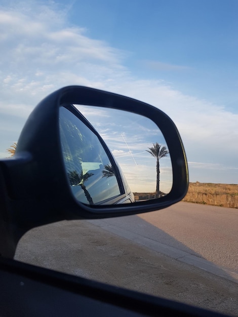 vue sur une route avec des palmiers depuis un rétroviseur d'une voiture