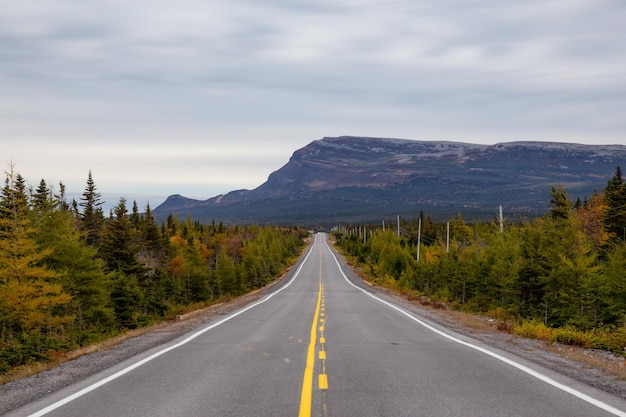 Vue d'une route panoramique au cours d'une journée nuageuse dans le nord de Terre-Neuve Canada