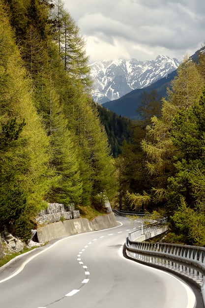 Vue de la route à travers le parc national suisse au printemps ensoleillé. Lieux pittoresques de la Suisse.