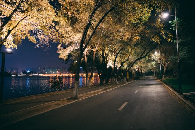 Vue de la rue éclairée la nuit