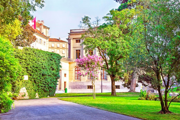 Vue sur la rue de Genève avec des arbres en été