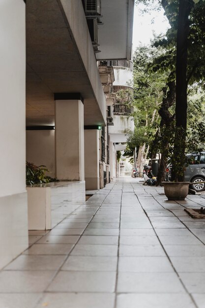 Vue sur la rue de la ville avec des arbres