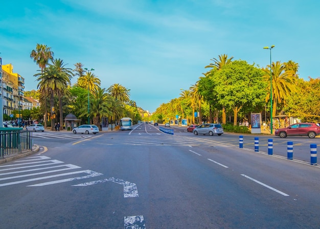 Photo vue sur les rues de la ville de malaga au printemps du centre-ville