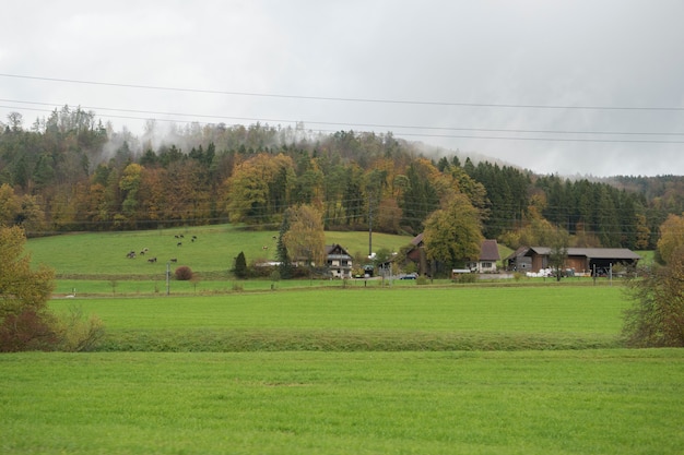 Vue rurale et montagne en Suisse