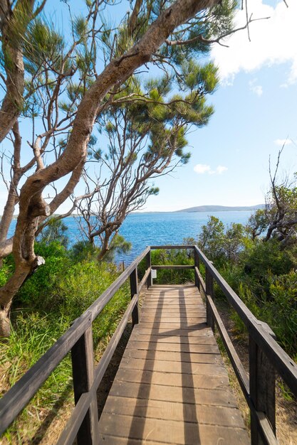 Vue De La Scène Sur Coalmine Beach Walpole Australie