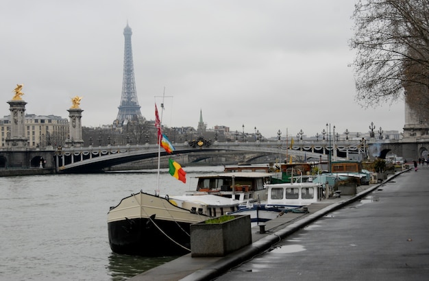 Vue sur la Seine à Paris