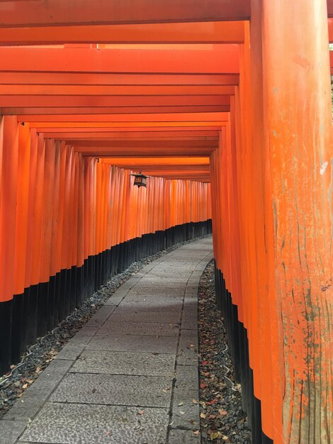 Vue d'un sentier vide dans le temple