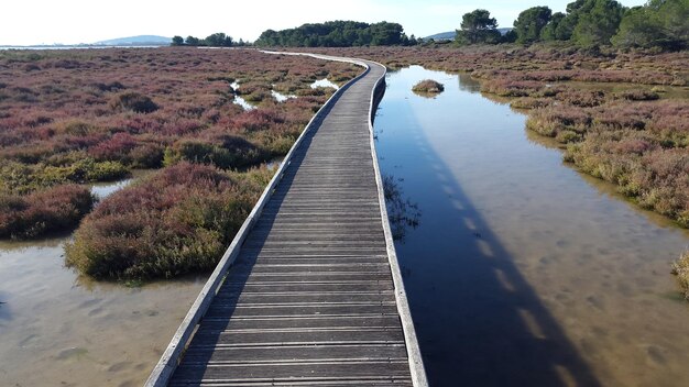 Photo vue d'un sentier vide par la rivière