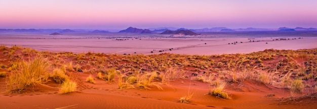 Vue de Sesriem au coucher du soleil du haut de la dune d'Elim en Namibie.