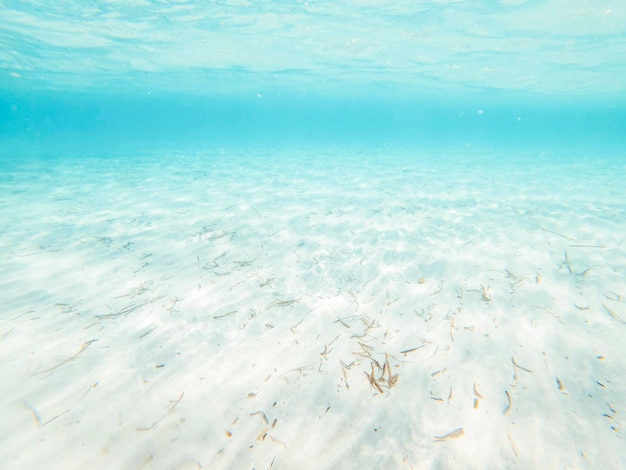 Photo vue sous-marine avec mer transparente eau de l'océan et sable blanc maldives des caraïbes concept vacances d'été