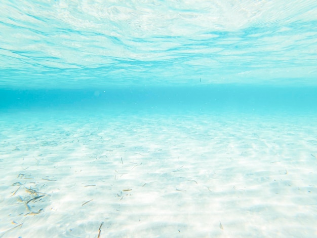 Photo vue sous-marine avec mer transparente eau de l'océan et sable blanc maldives des caraïbes concept vacances d'été