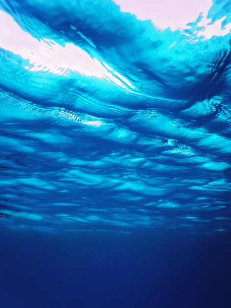 Vue sous-marine de la surface de la mer, fond sous-marin