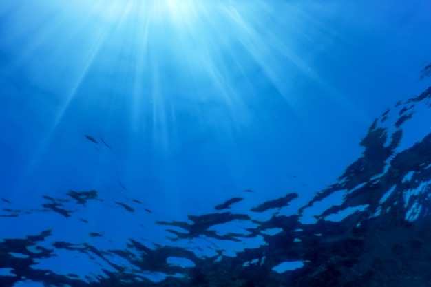 Vue sous-marine de la surface de la mer, fond sous-marin