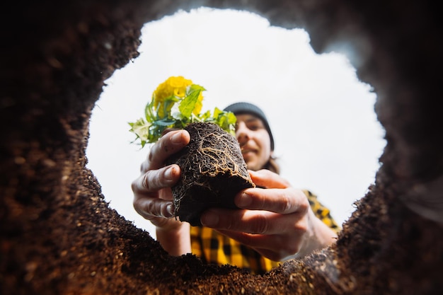 Vue souterraine jardinier plantant un homme de fleurs dans le jardin photo de haute qualité