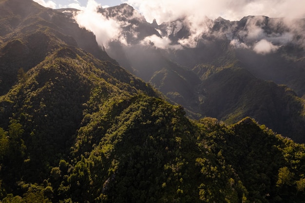 Vue spectaculaire sur la forêt montagneuse subtropicale