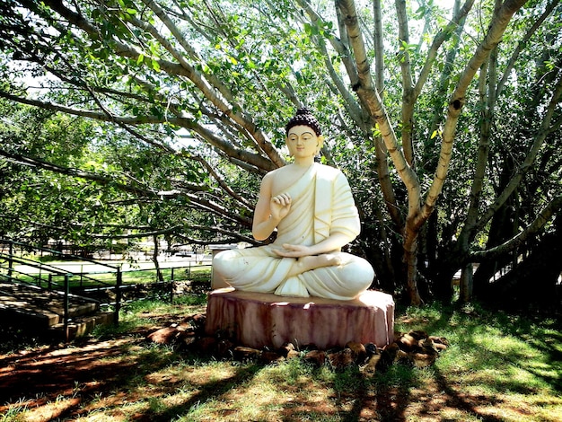 Photo vue d'une statue de bouddha dans la forêt