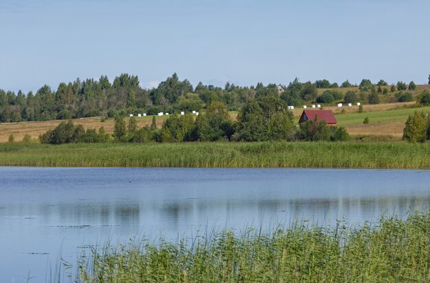 Vue sur la surface lisse du lac avec végétation