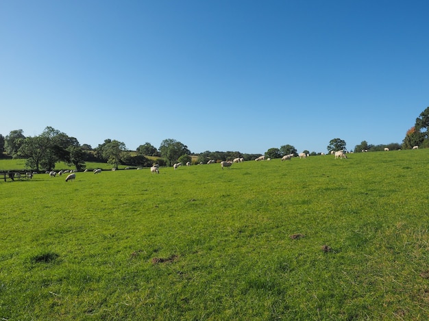 Vue de Tanworth à Arden