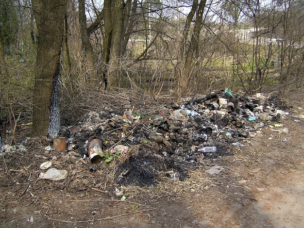 Une vue des tas de plastique et autres déchets déversés sur le côté de la route près des arbres Problèmes environnementaux de la Terre