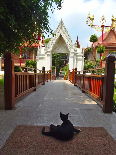 Photo vue d'un temple contre le bâtiment