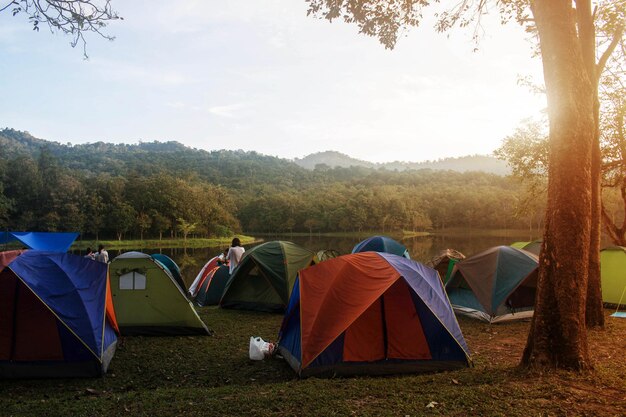 Photo vue des tentes sur le champ contre le lac et la forêt