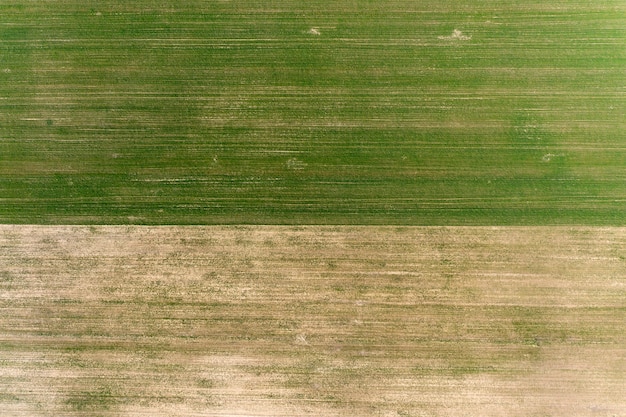 vue sur le terrain agricole semé d'en haut prise de vue par drone