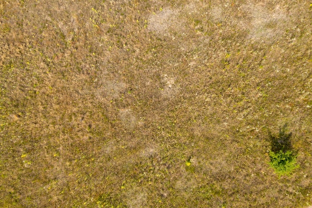 vue sur le terrain depuis le fond de l'été