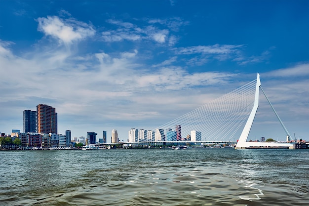 Vue sur les toits de Rotterdam sur Nieuwe Maas avec pont Erasmusbrug et gratte-ciel. Rottherdam, Pays-Bas