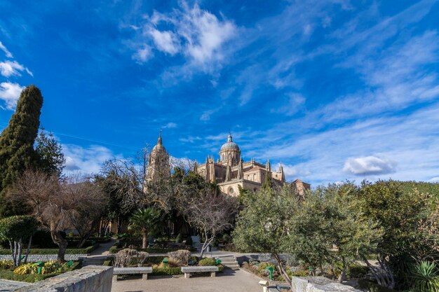 Vue sur la tour et le dôme de la cathédrale de Salamanque depuis le Huerto de Calixto y Melibea