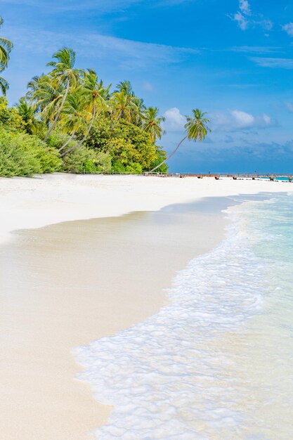 Vue tranquille sur la plage aux Maldives. Île de plage paradisiaque, arrière-plan pour les voyages d'été et les vacances