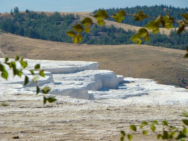 Vue sur les travertins blancs comme neige à Pamukkale en Turquie à travers les branches d'arbre