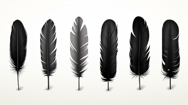 vue très unique d'un ensemble d'icônes de plumes noires isolées avec un fond blanc