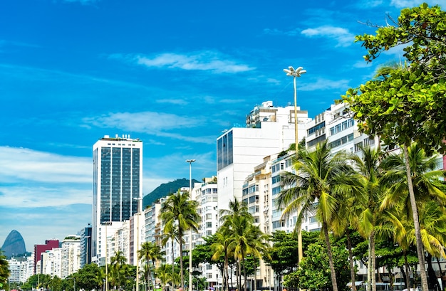 Vue tropicale de Copacabana Seaside à Rio de Janeiro