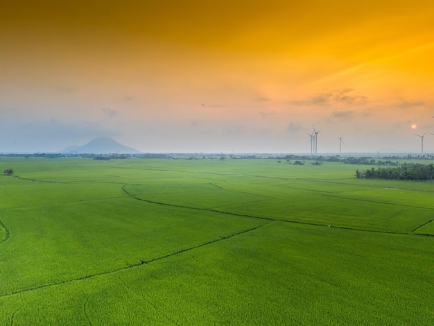 vue de la turbine éolienne d'énergie verte pour la production d'électricité Les turbines éoliennes produisent de l'électricité sur le champ de riz de la province de Phan Rang Ninh Thuan au Vietnam