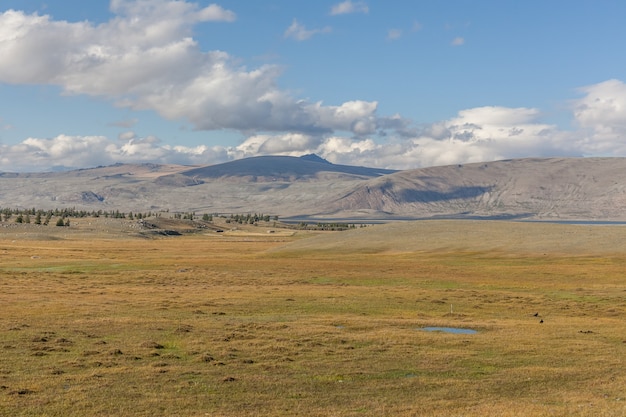 Vue typique du paysage mongol. Mongolian Altai, Mongolie