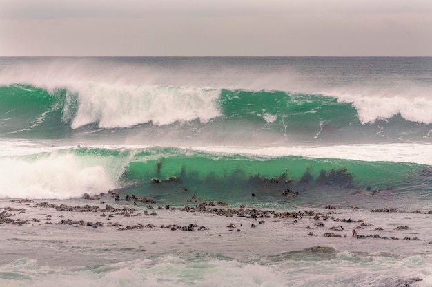 Photo vue des vagues massives par jour nuageux à gansbaai célèbre pour l'observation des requins et des baleines