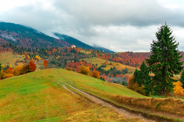 Vue sur la vallée colorée luxuriante avec route et arbres. Chemin de montage sur prairie à flanc de colline avec un ciel bleu sur fond. Concept de beauté de la nature.